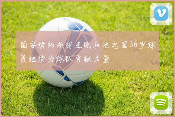国安续约老将王刚和池忠国36岁球员继续为球队贡献力量